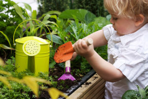 Broadmeadows Early Learning Center