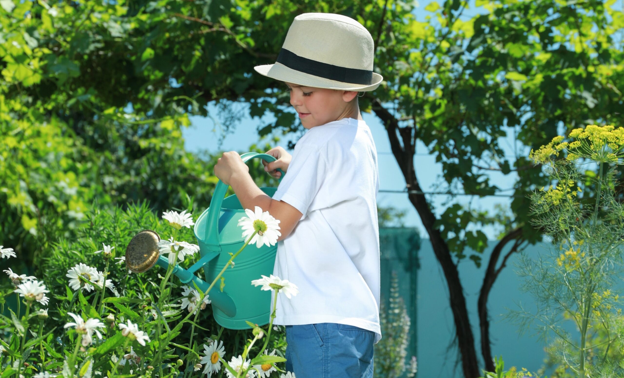 Broadmeadows Early Learning Center